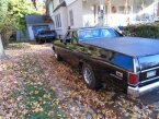 Thumbnail Photo undefined for 1969 Chevrolet El Camino SS